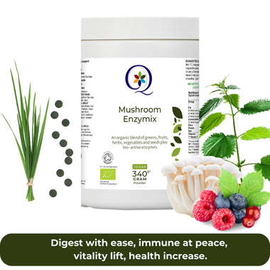 Mushroom Enzymix Food supplement Food Supplements - QuantumWay