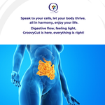 GroovyGut Detox | Food Supplement |  Herbs and Fibre | Digestion Aid | Cleansing 1 - QuantumWay 