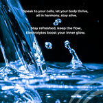 HydraFizz Energizer | Food Supplements | Minerals and Vitamins | Hydration - QuantumWay 