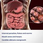 Clean Gut Herbal Blend | Parasites | Digestive Health| UK Made - QuantumWay 