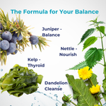 Electro Balance Plus | Hydrate | Energy Restore | Electrolytes - QuantumWay 