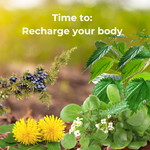 Electro Balance Plus | Hydrate | Energy Restore | Electrolytes - QuantumWay 