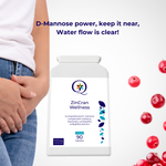 QW ZinCran Wellness | 90 High Strength Zinc (2.5mg) D Mannose (900mg) Capsules | D-Mannose Zinc Supplement with Cranberry Extract, Bamboo Leaf, Lactobacillus Acidophilus & More | Manufactued in UK - QuantumWay 