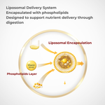 QW Vitamin D3 K2 Liquid 4000 IU | Liposomal Vitamin D Drops with K2 MK-7 100µg | High Strength Vitamin D 3 & K2 Liquid Supplement | Vegan | Made in The UK | - QuantumWay 