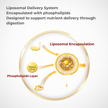 QW Vitamin D3 K2 Liquid 4000 IU | Liposomal Vitamin D Drops with K2 MK-7 100µg | High Strength Vitamin D 3 & K2 Liquid Supplement | Vegan | Made in The UK | - QuantumWay 