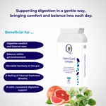 QW Gastro Guard Complex – High Strength Digestive Balance Capsules with Zinc, Aloe Vera & Live Cultures | Vegan | Made in the UK | 60 Capsules - QuantumWay 